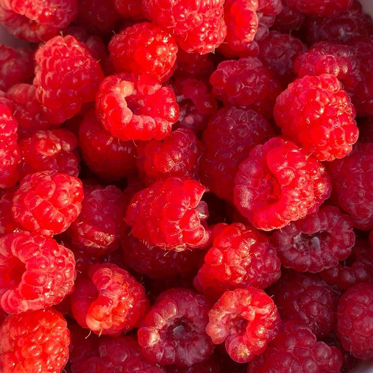 Country Orchard Berry Selection: Wholesome Delight
