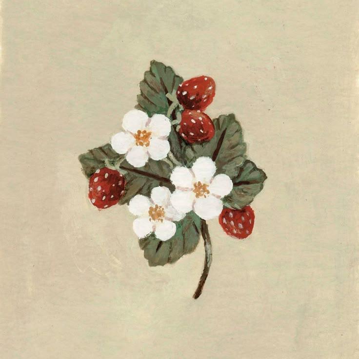 Sun-Kissed Berry Assortment: Farm Fresh Picks